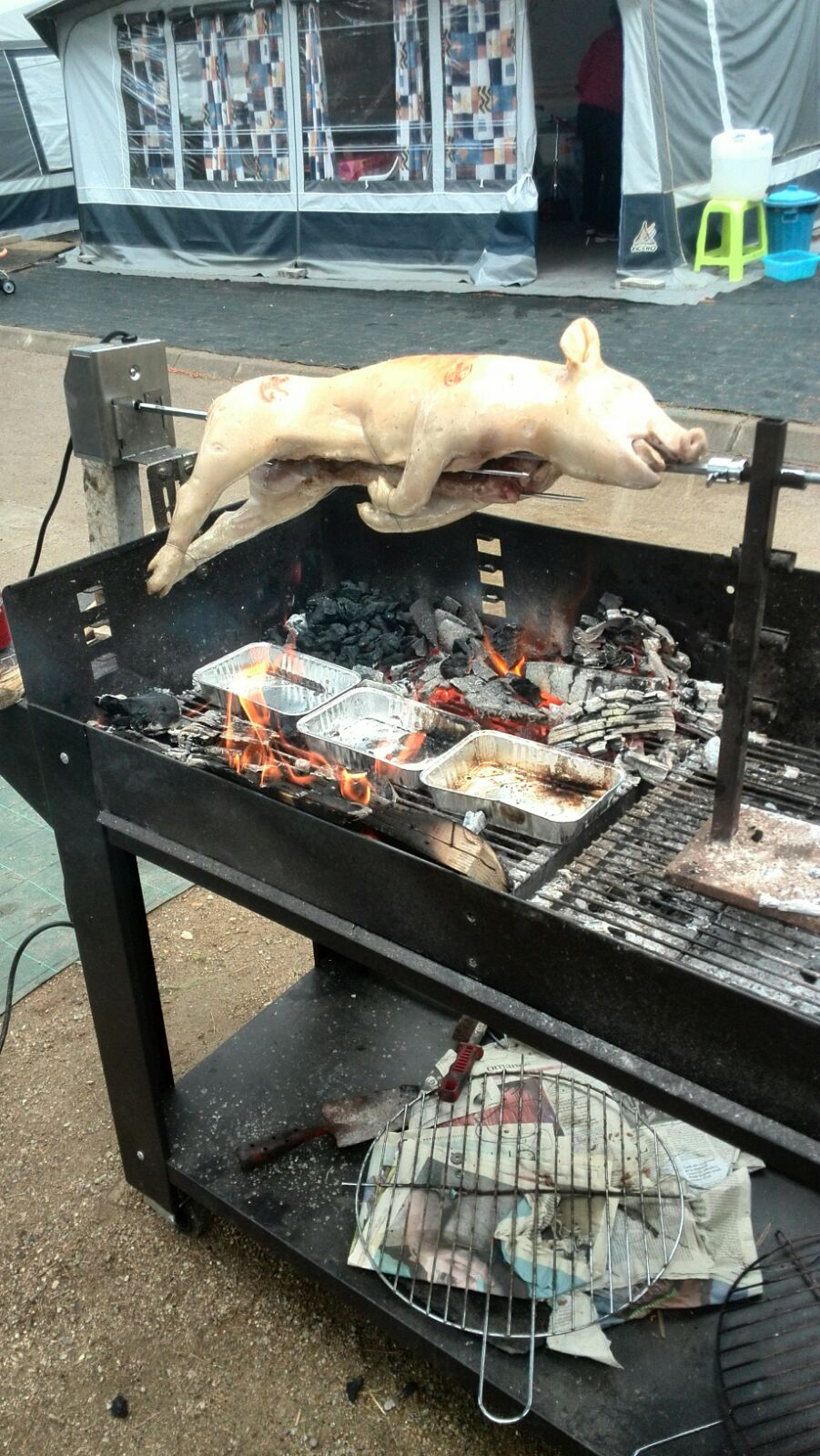 Ignaci y el cochinillo 2